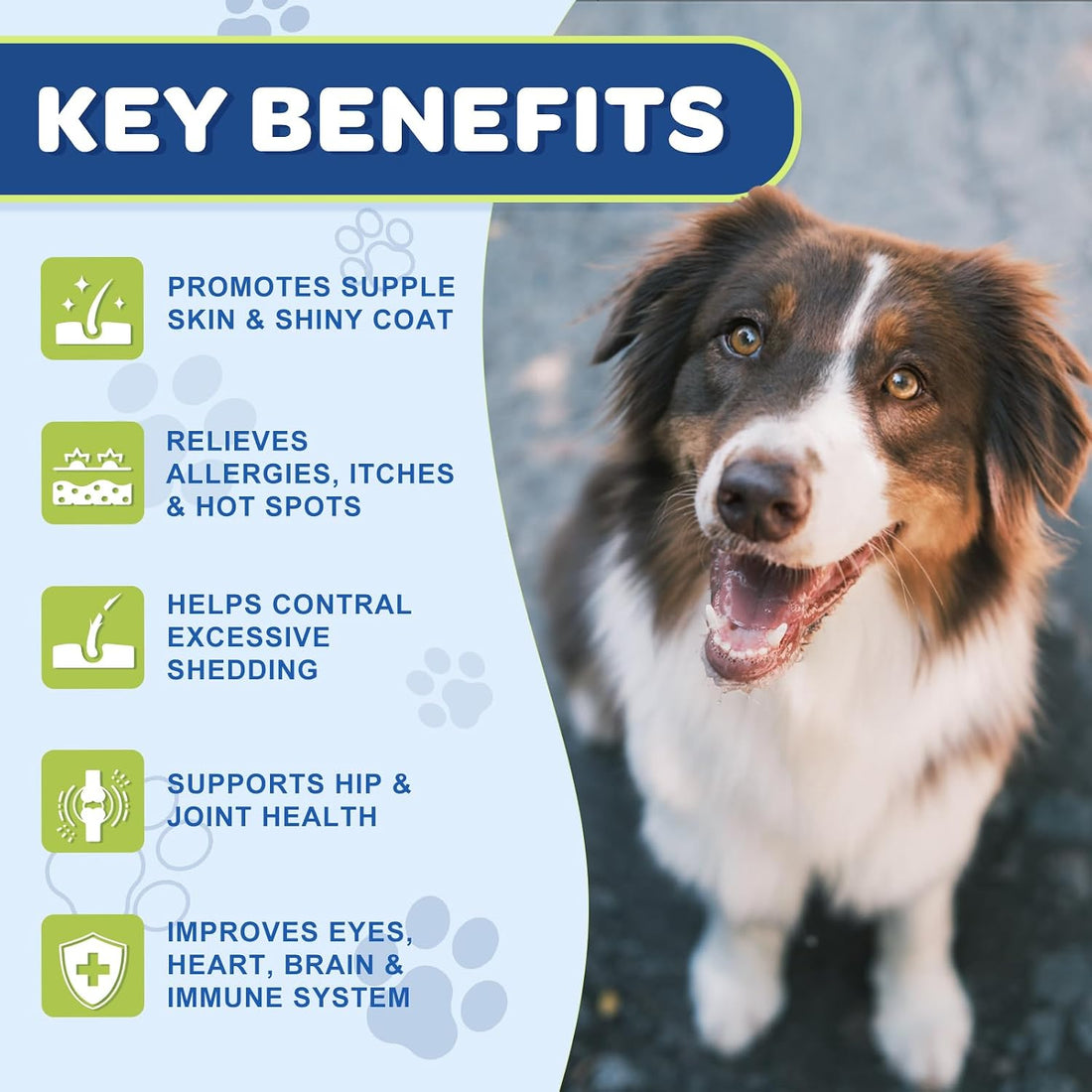 NATURE TARGET Omega 3 Fish Oil for Dogs