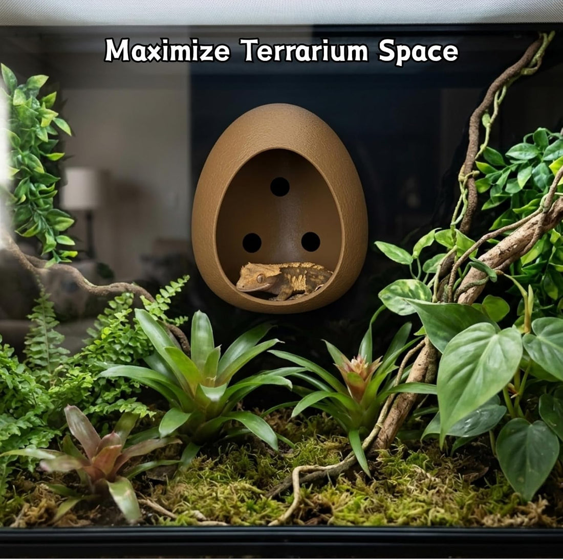 Egg Reptile Hide Cave with Suction Cups, Hanging Gecko Shelter