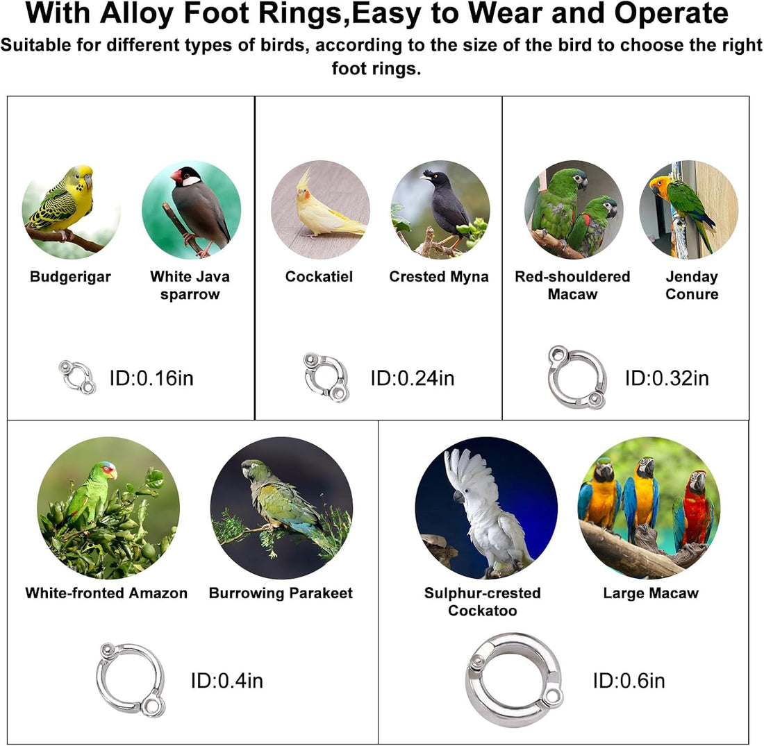 Retractable Bird Leash,Parrot Flying Rope,Anti-Bite Wire Rope Parrot