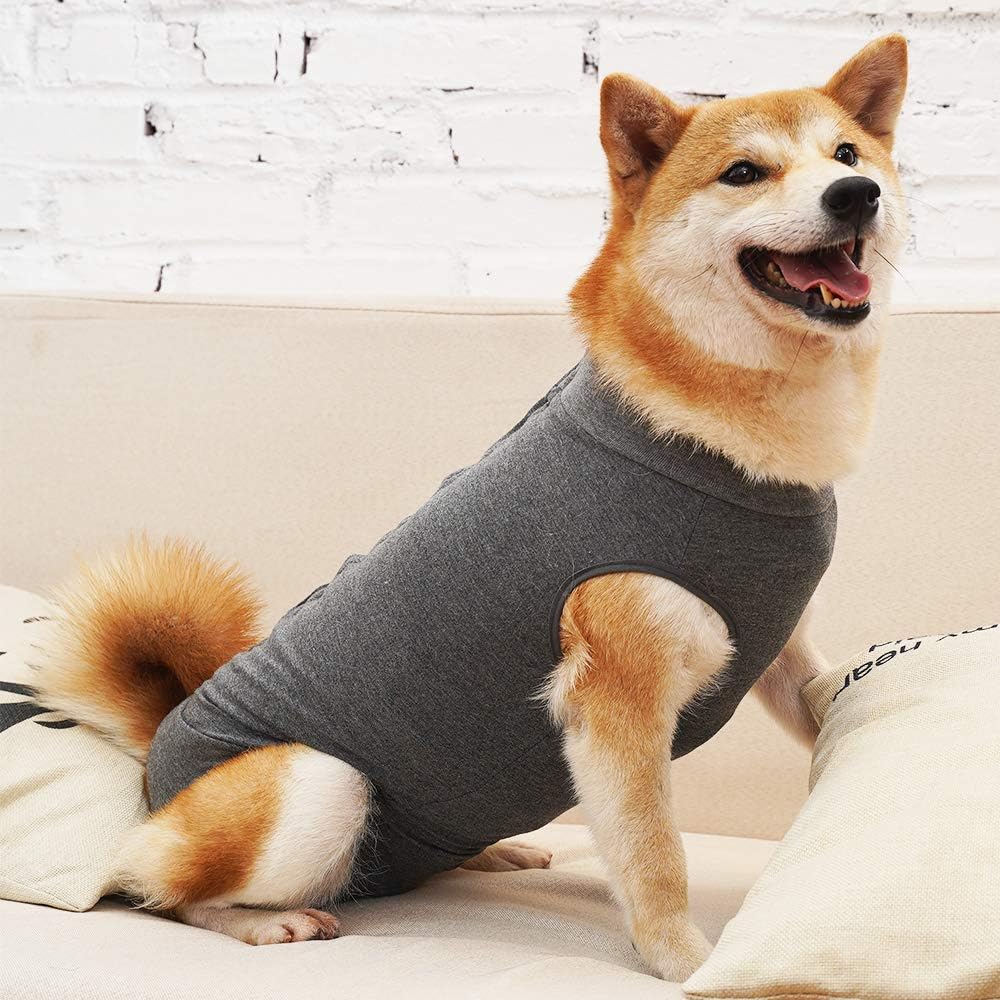 Dog Recovery Suit Abdominal Wound Puppy Surgical Clothes