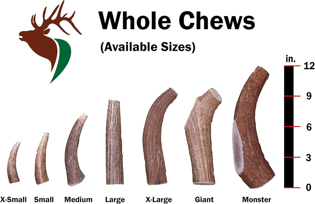 Elkhorn Premium Chews – X Large Whole Single Elk Antler Chew