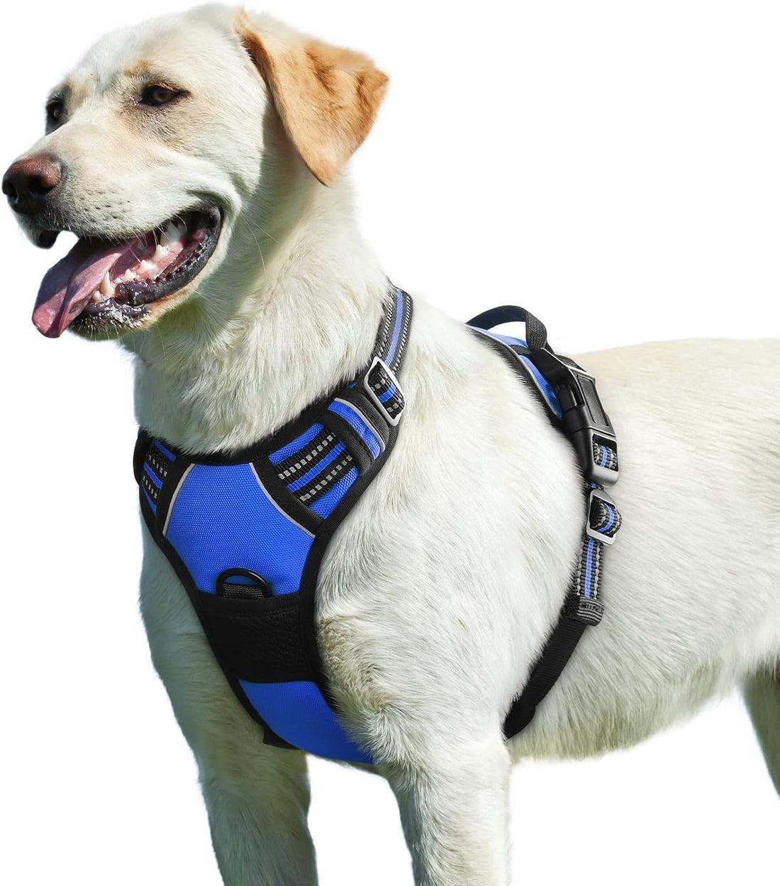 Eagloo Dog Harness for Medium Sized Dogs