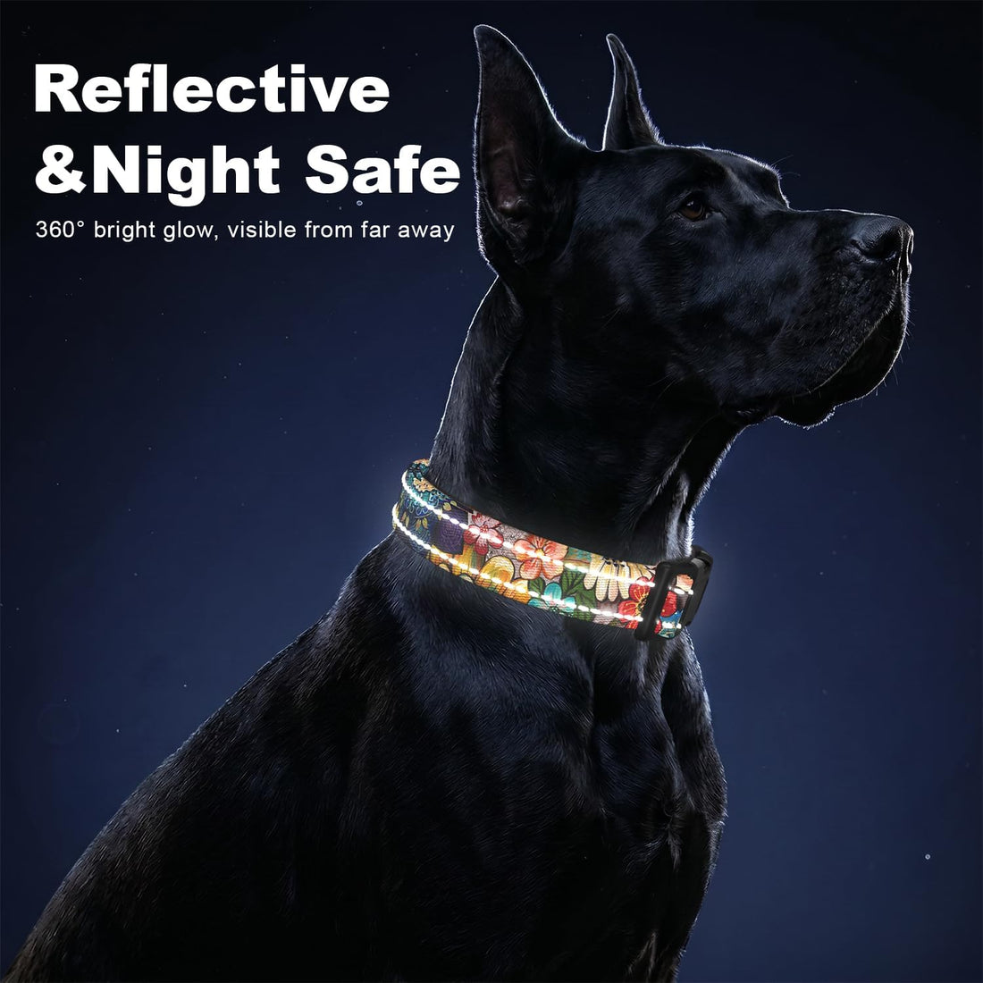 Martingale Dog Collar for Small Dogs, Reflective Puppy Collars