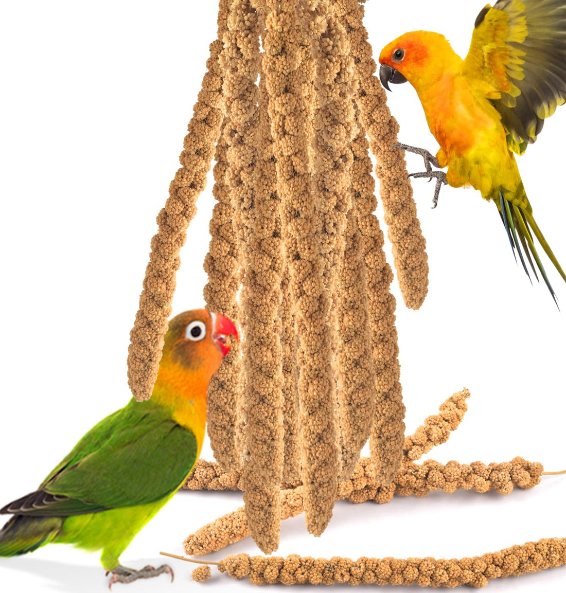 KATUMO Spray Millet Treats, 7Oz / 200g Natural Sun-Dried Bird Treats