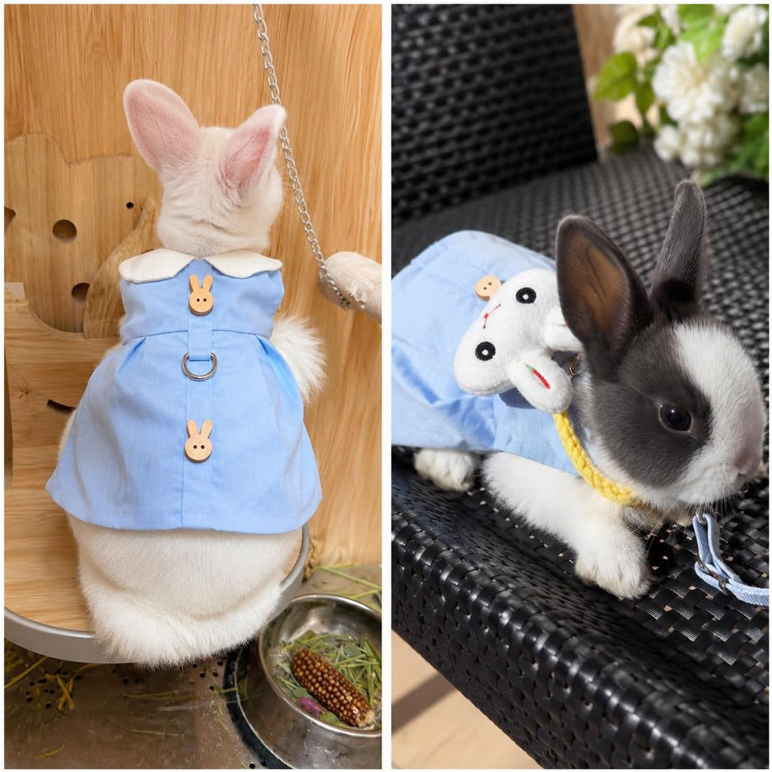 Bunny Outfit Harness Set with Leash, Cute Blue, L