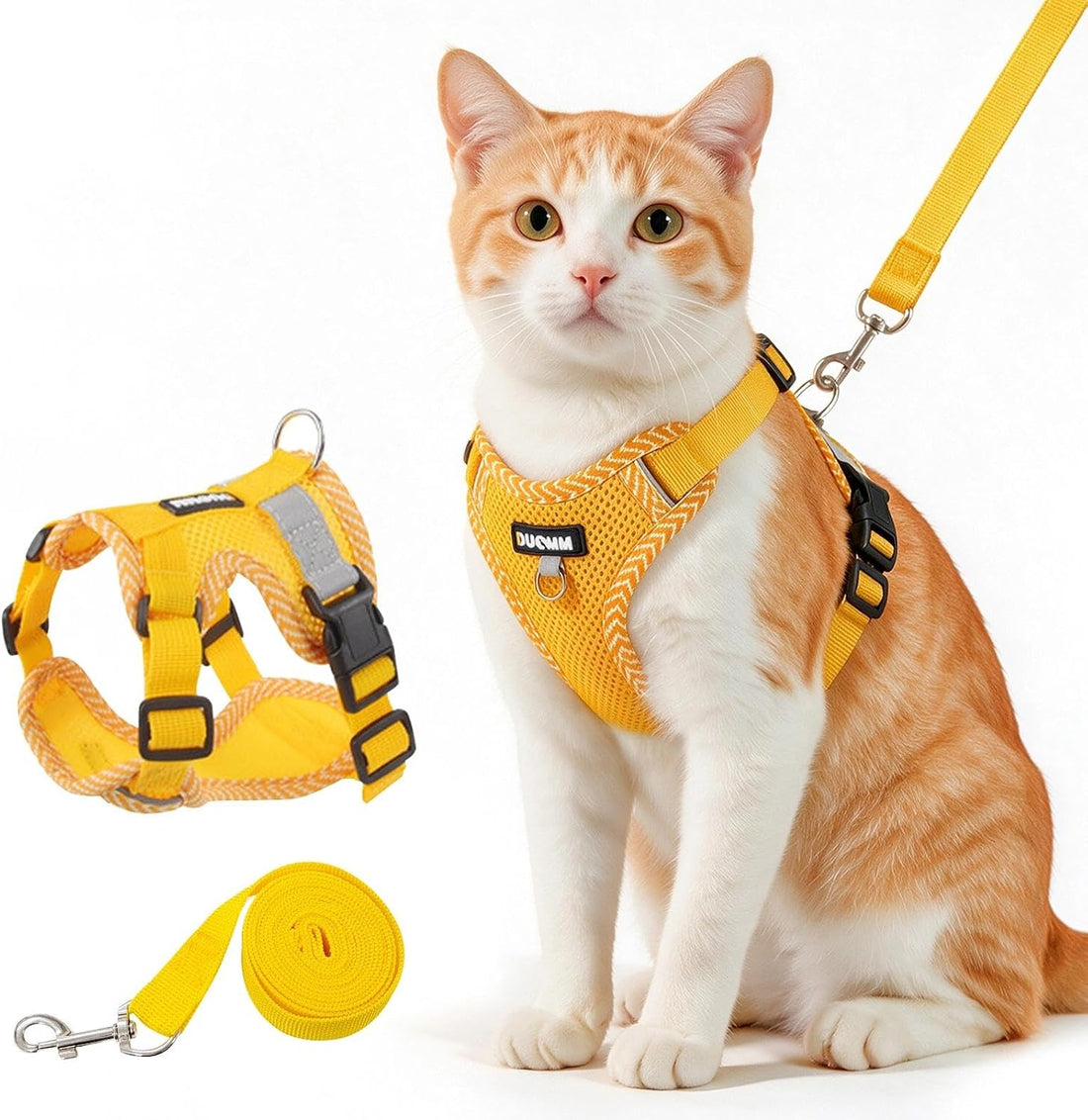 Large Cat Harness and Leash Set