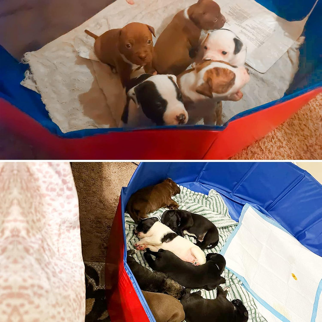 Artilife Whelping Pen for Dogs,Whelping Box for Small Dogs