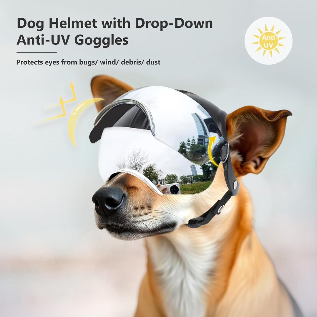 Dog Helmet for Small Breed Cool Pet Motorcycle Helmet with Drop-Down