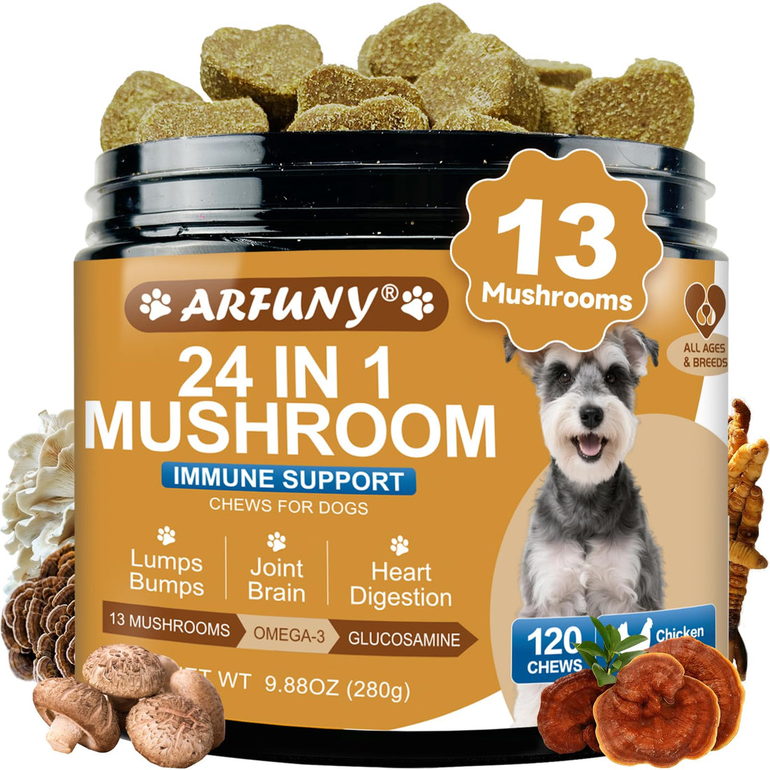 Mushrooms for Dogs - Turkey Tail Mushroom for Dogs - Gut, Skin, Joint