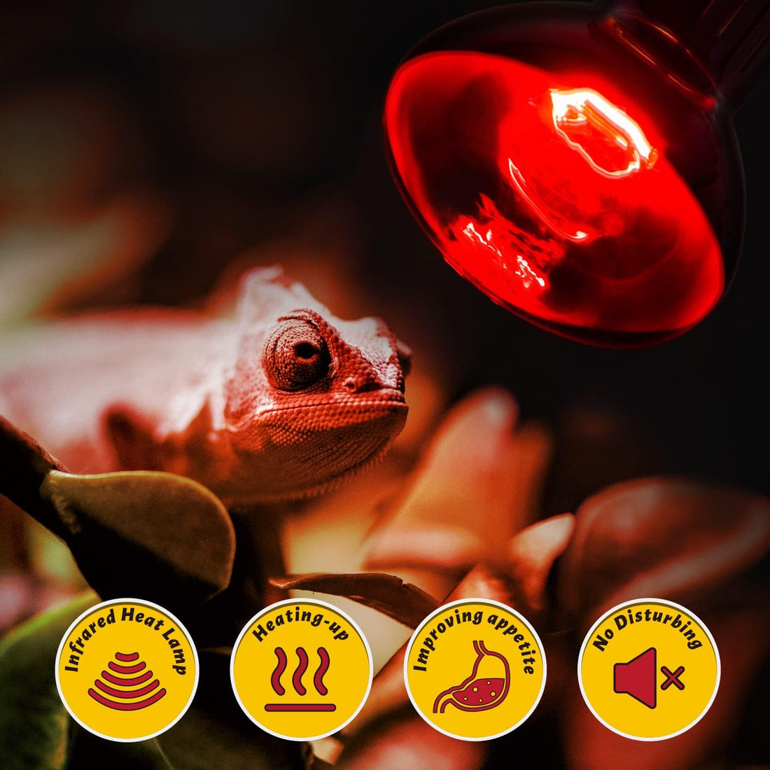 REPTI ZOO 2 Pack 100W Reptile Heat Lamp Bulbs,Upgraded Reptile Day