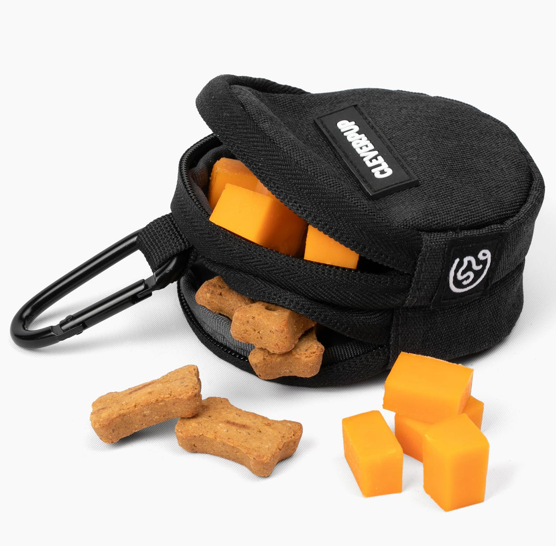 Cleverpup Snackpack Double Insulated Dog Treat Pouch