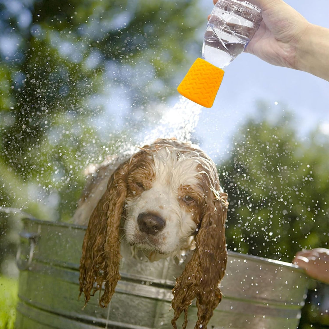 Portable Outdoor Shower for Dogs Bottle Attachment Outdoor Sprayer
