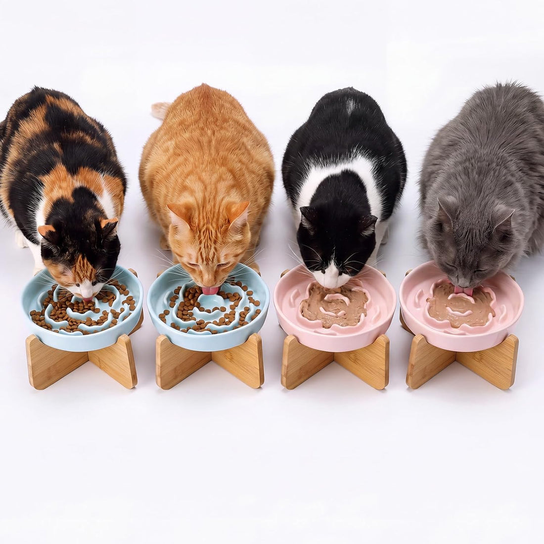 2 Set Raised Slow Feeder Cat Bowl with Stand Ceramic