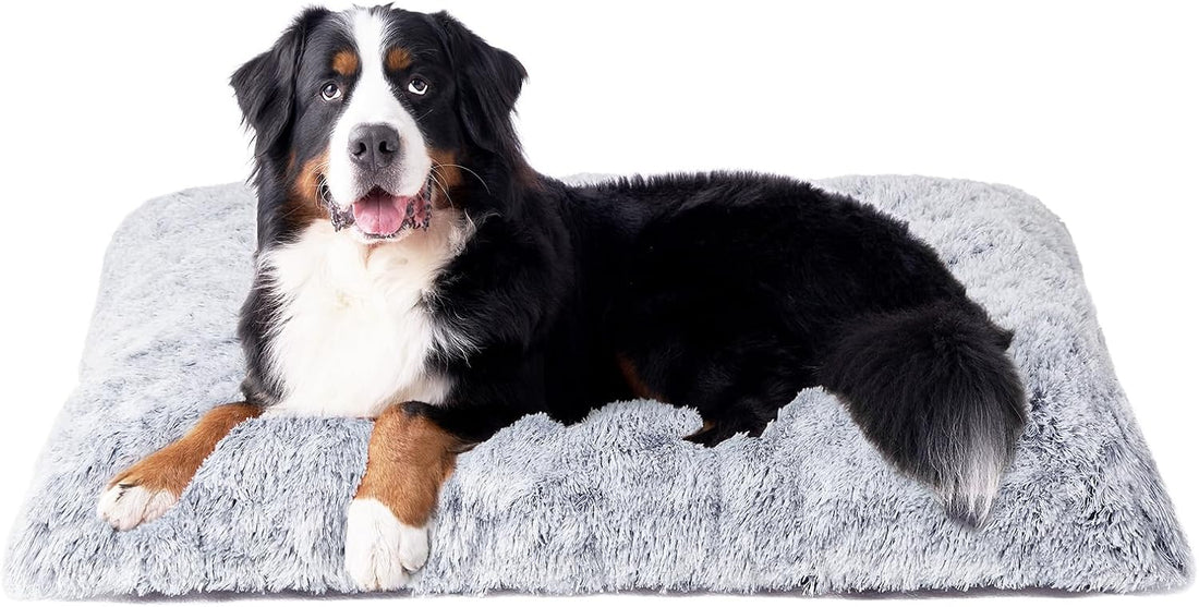 EHEYCIGA Fluffy Dog Crate Bed, Plush Extra Large Plus Dog Pillow