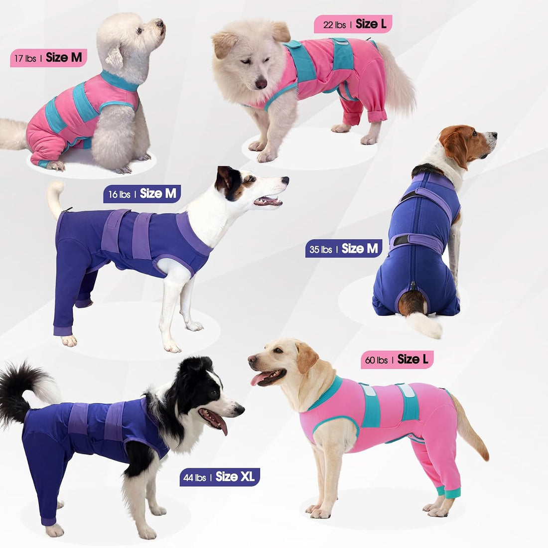 Lelepet Dog Surgery Recovery Suit for Rear Legs