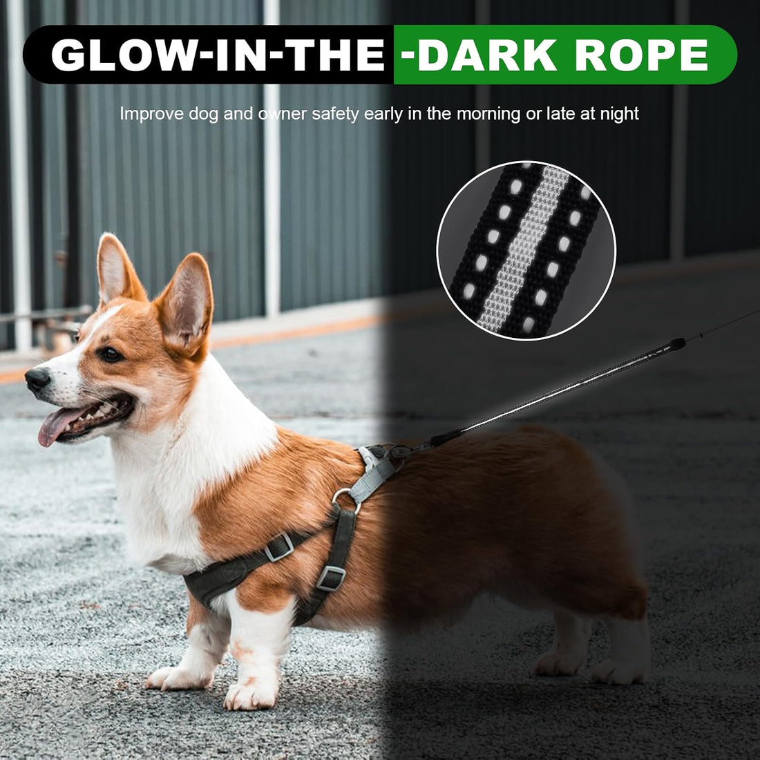 30FT Retractable Dog Leash 30 FT,360° Tangle-Free Dog Walking Leash