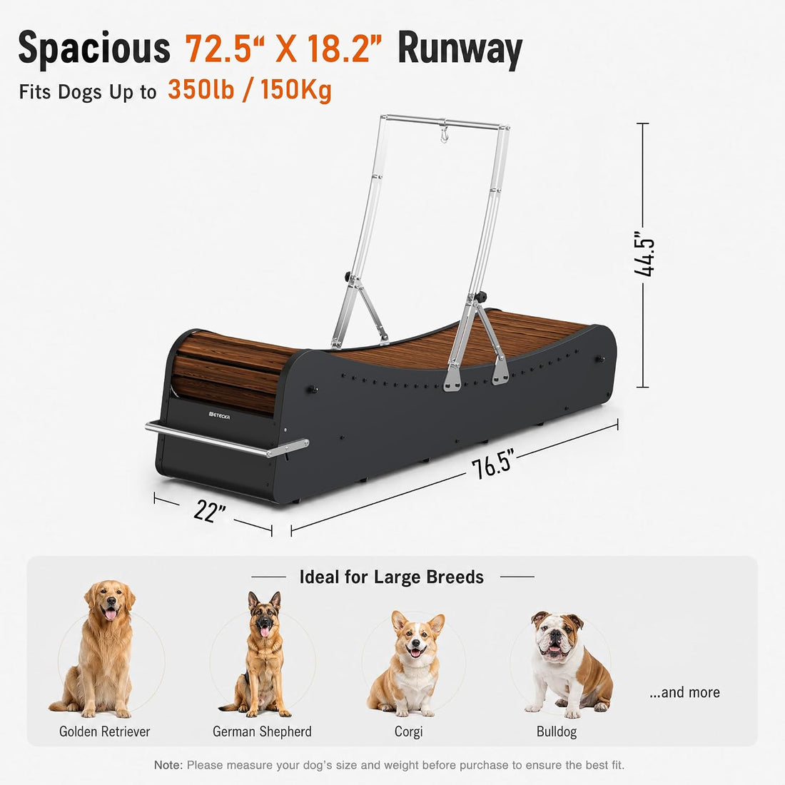 Curved Wooden Dog Treadmill, Zero Assembly, Ready to Use