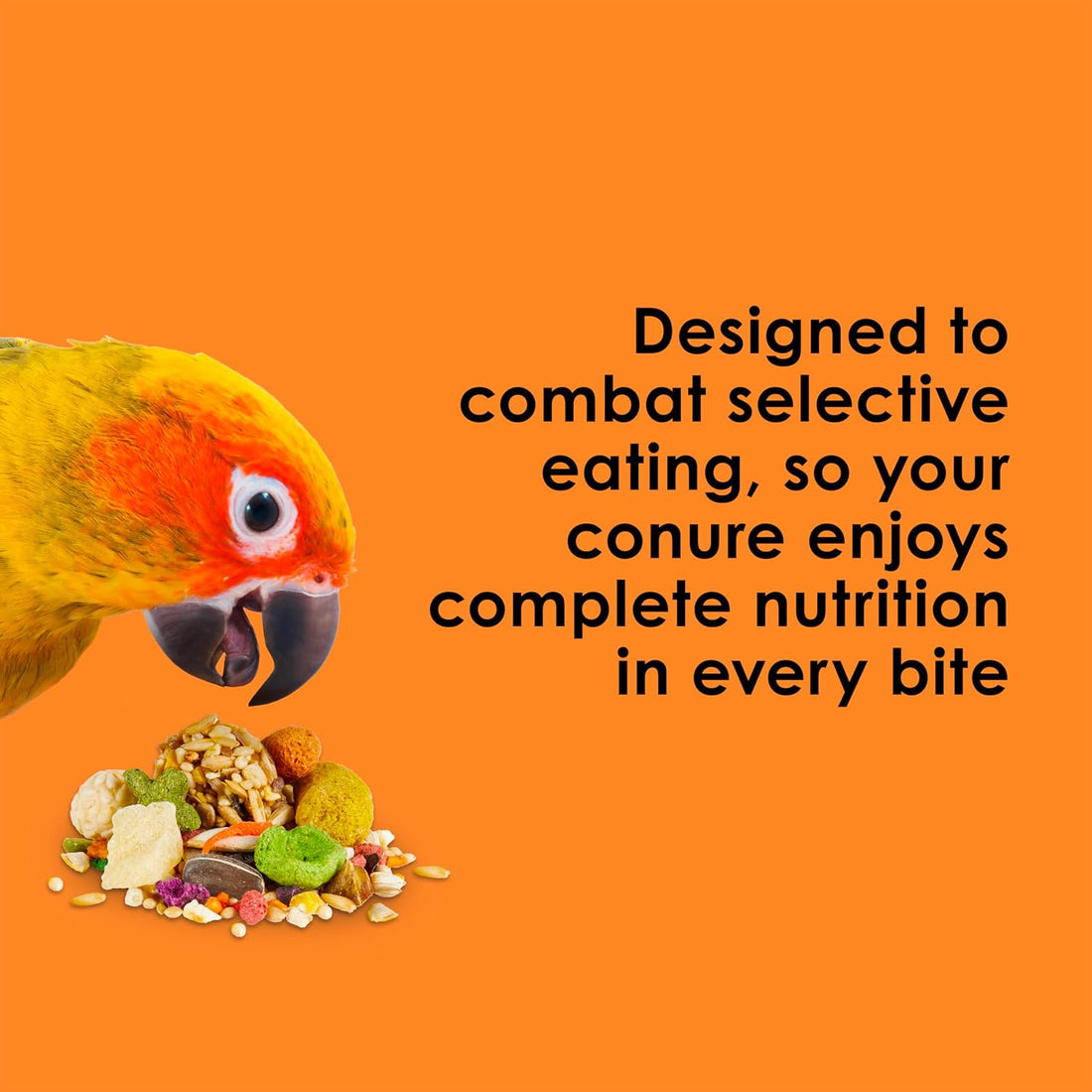 Kaytee Fiesta Conure Food, Nutritious and Fun Blend, Supports Skin