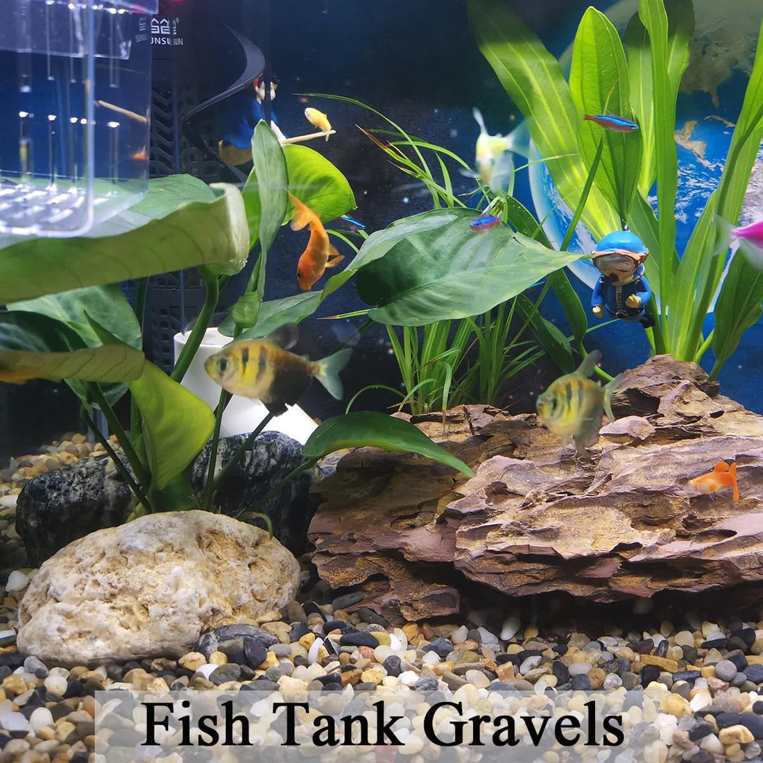 FANTIAN 5 lbs Aquarium Gravel, 1/4 Inch Pea Gravel for Fish Tank