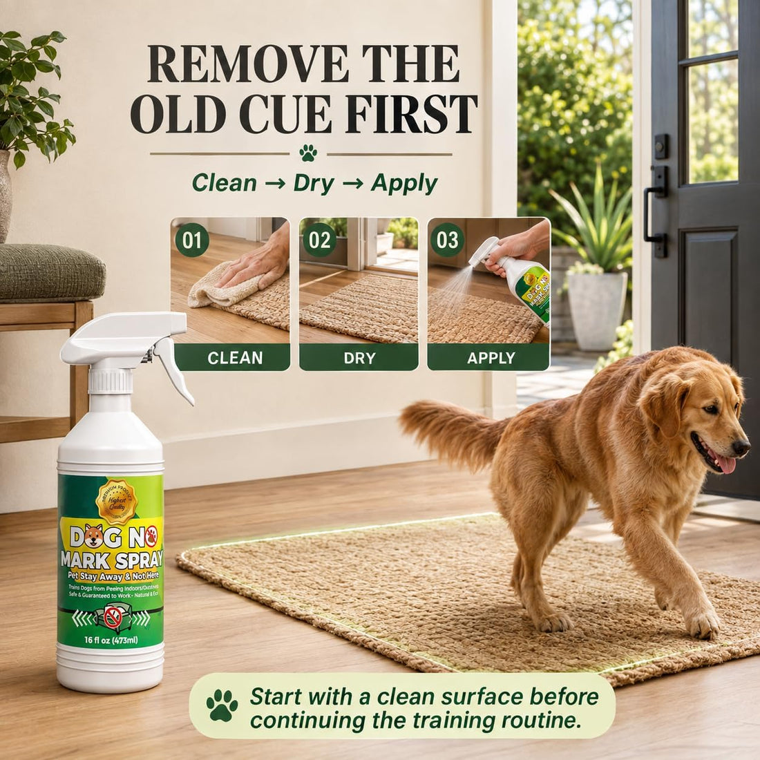 Dog No Pee Spray for Indoor and Outdoor Training, 16 Fl Oz