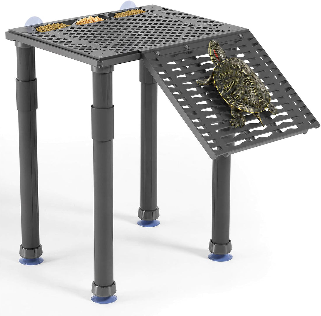 Upgraded Standing Turtle Basking Platform with Ramp