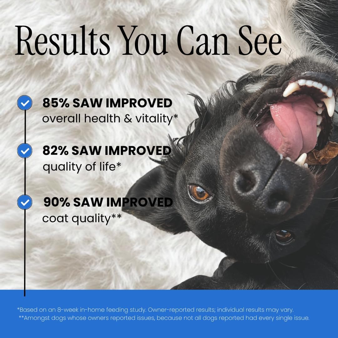 Multivitamin Daily Soft Chew Dog Supplement with Glucosamine