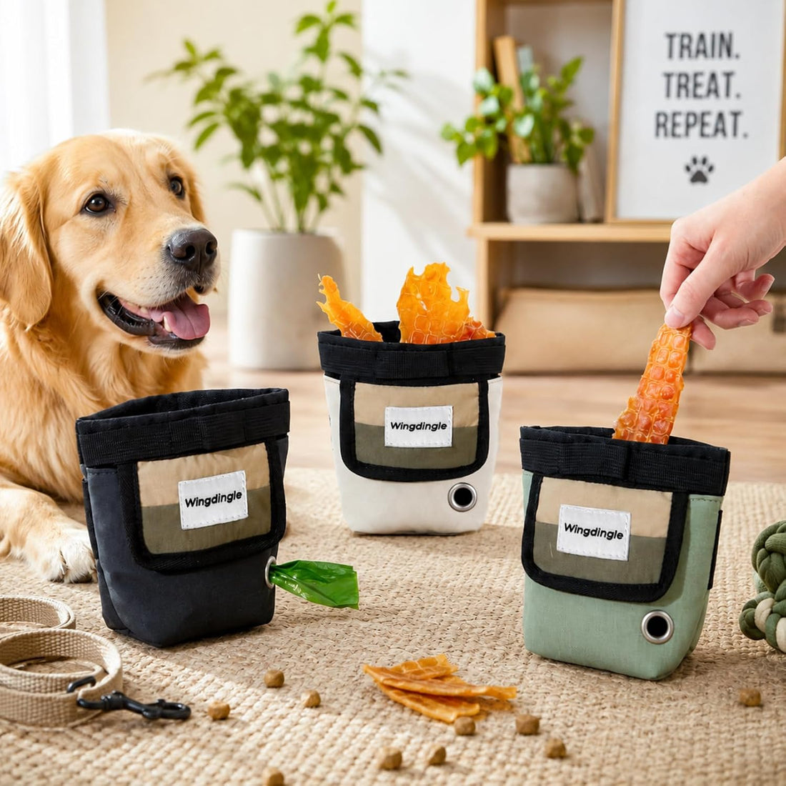 Magnetic Dog Treat Bag with Belt Clip for Training and Walking