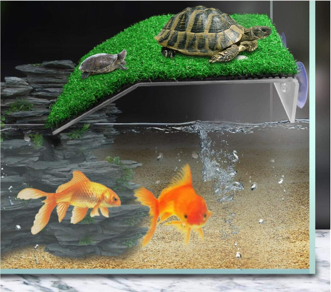 alfyng Small Turtle Resting Basking Platform