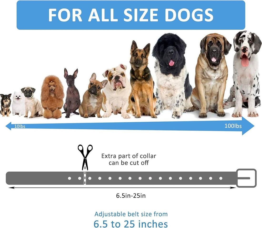 Collar Replacement Strap, for Most Training/Bark Collar/Fence/GPS