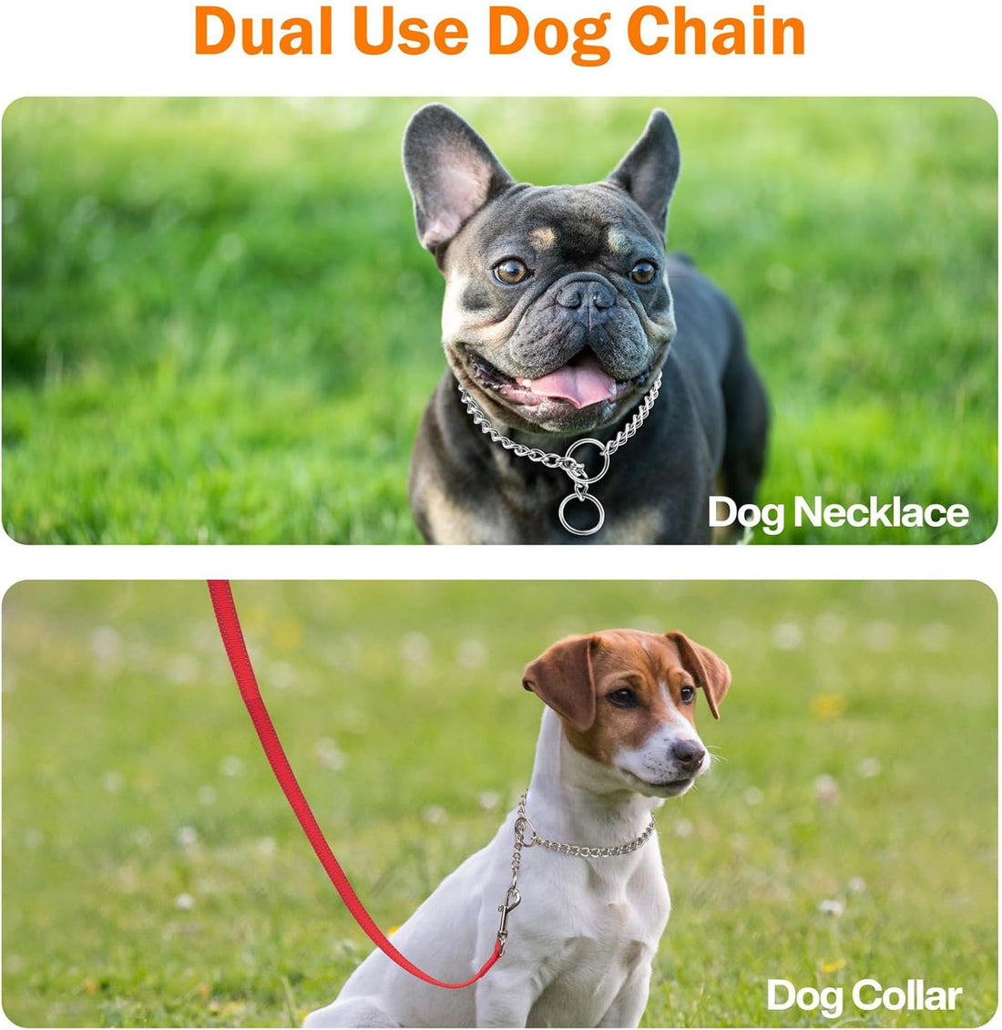 TagME Chain Choke Collar for Dogs