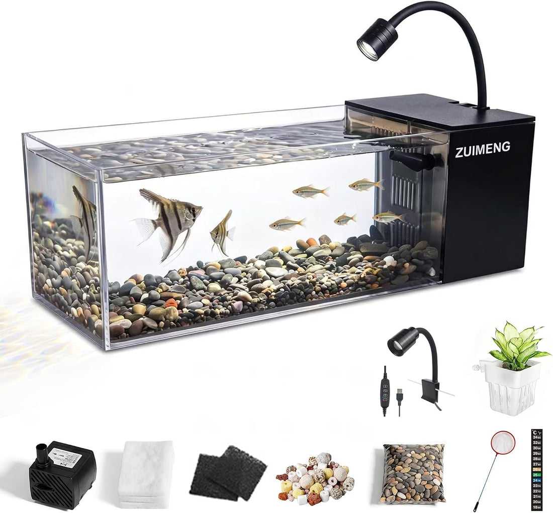 2.7 Gallon Small Fish Tank,Ultra-Clear Rimless Desktop Glass Aquarium