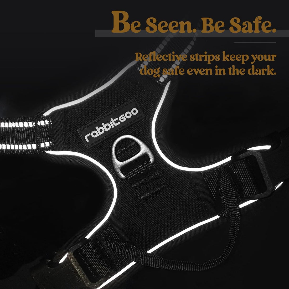 rabbitgoo Dog Harness No Pull with 2 Leash Clips