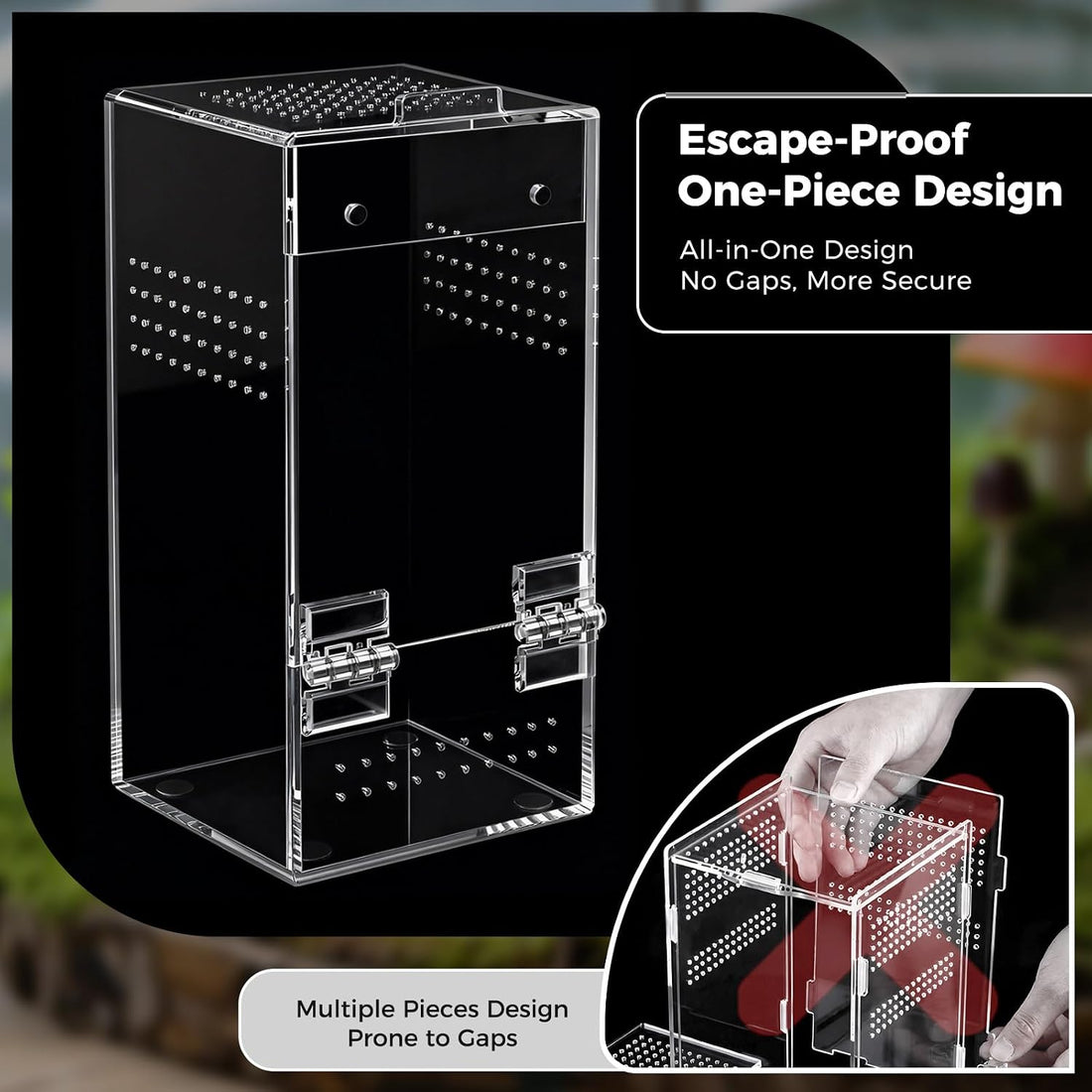 Jumping Spider Enclosure Kit