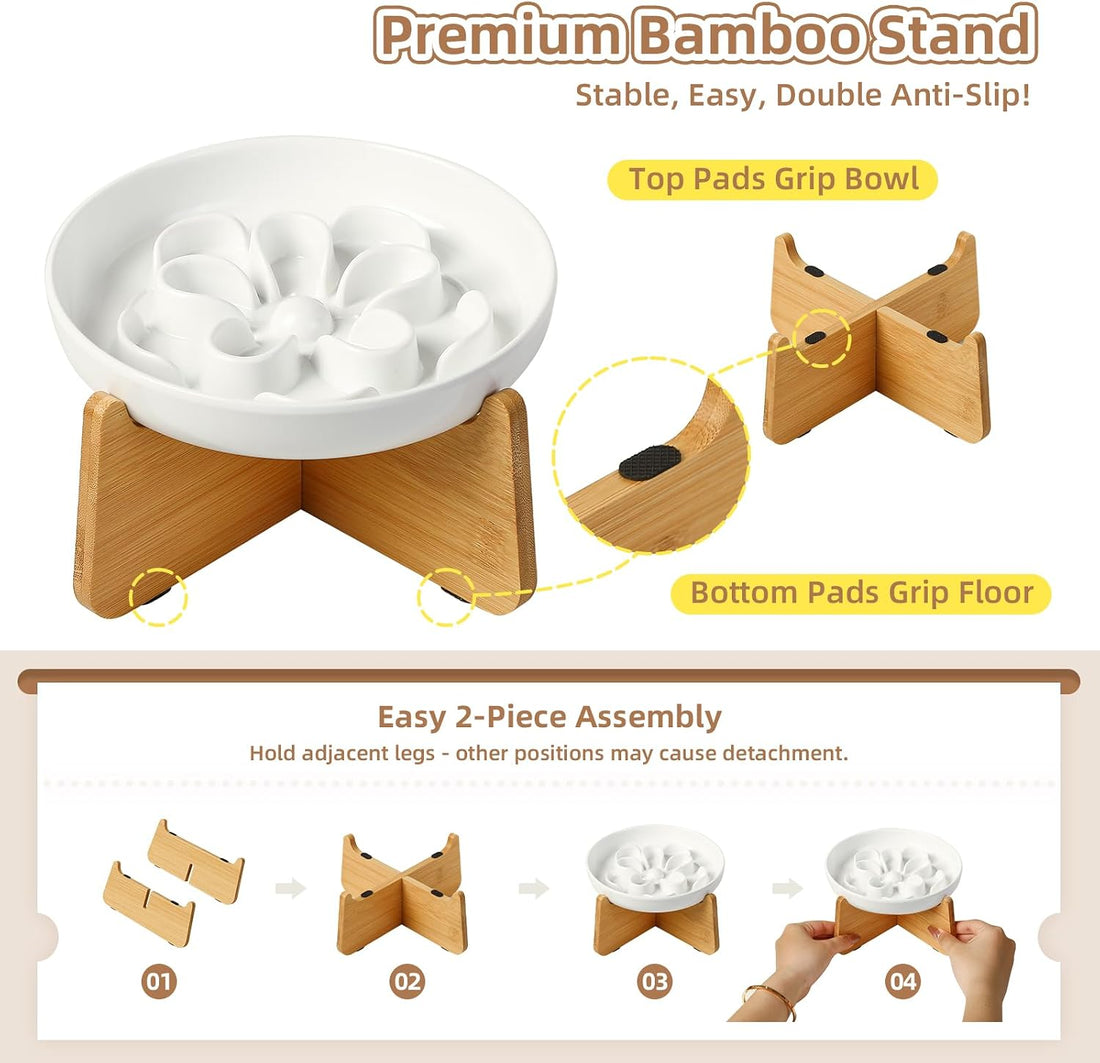 Elevated Slow Feeder Cat Bowl