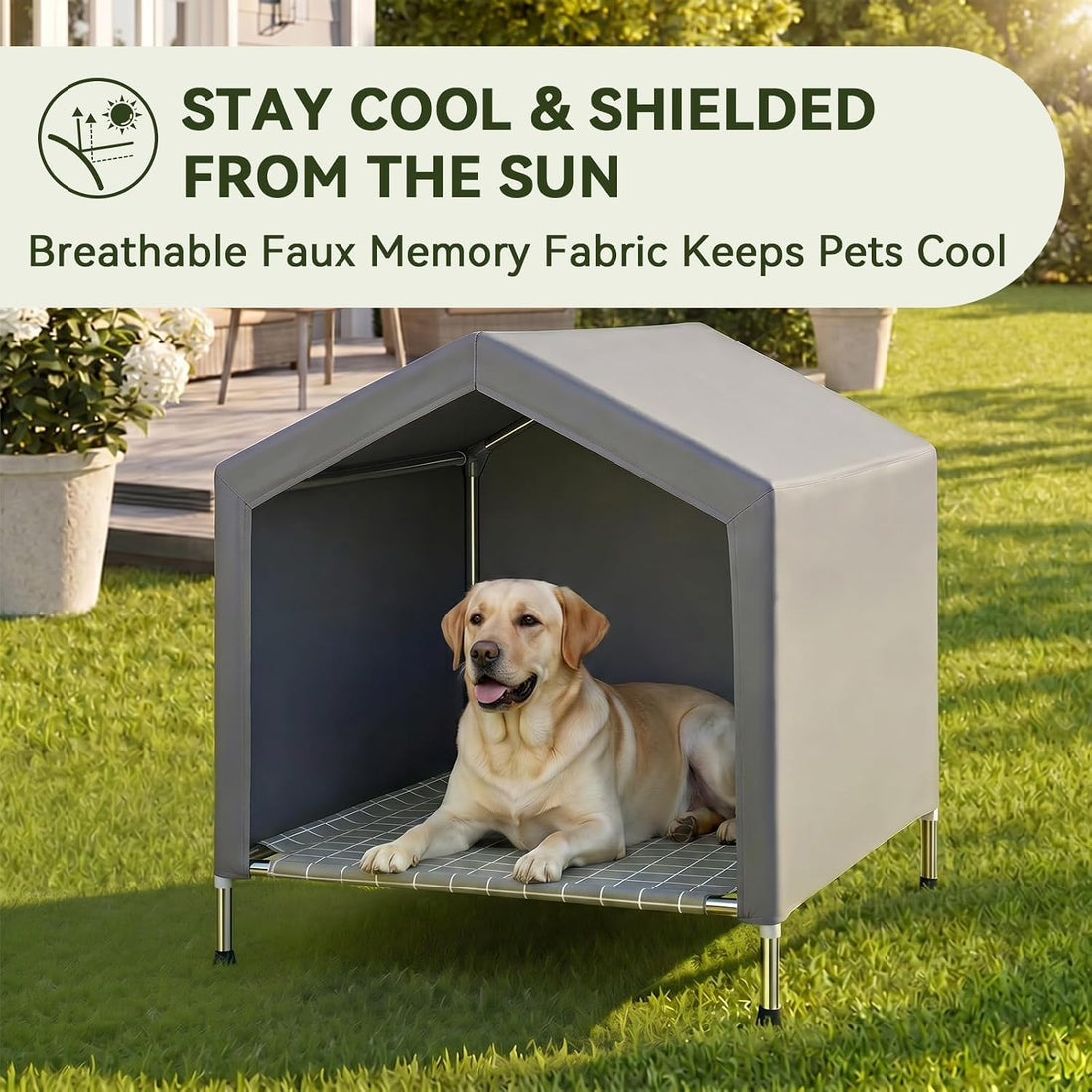 Elevated Dog House for Small Dogs