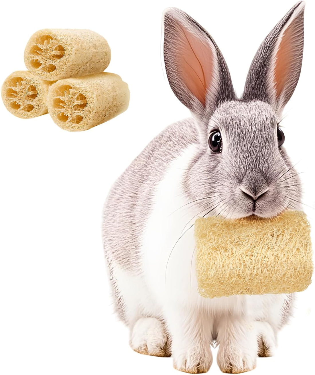 BESNEW 3 PCS Rabbit Chew Toys,100% Natural Loofah Without