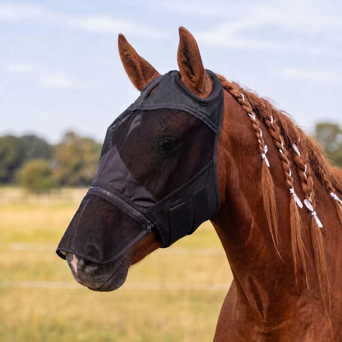 Horse Fly Mask with Ears & Detachab Nose Cover, Medium