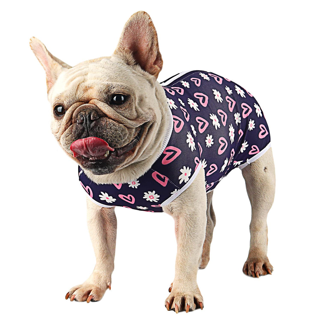 Due Felice Dog Surgery Suit Female Spay Recovery Suit for Dogs