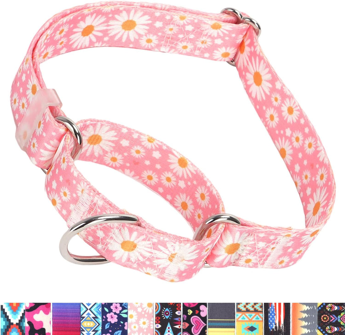 Martingale Collar for Dogs, No-Slip Escape Proof Choke No Pull Cinch