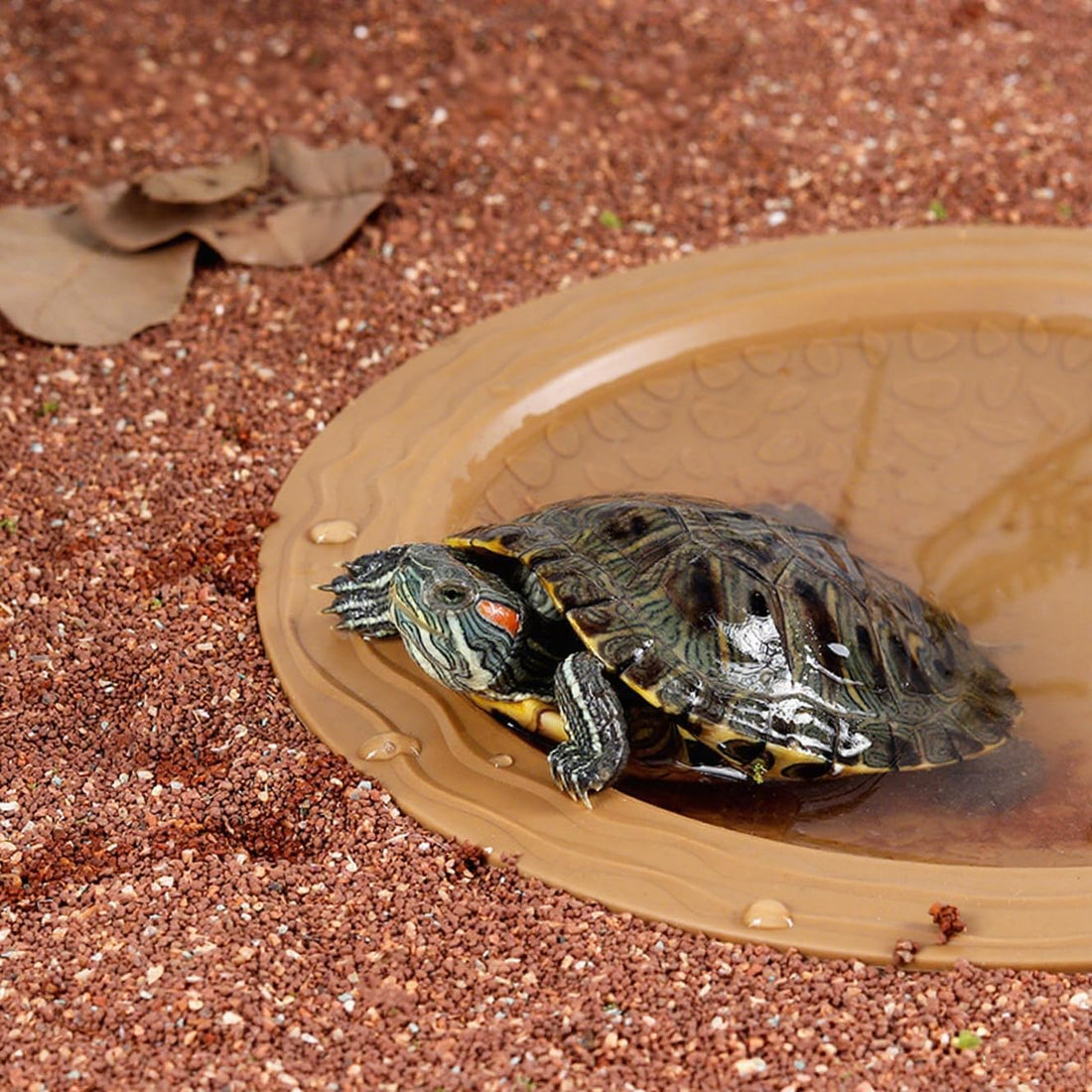 Turtle Bathing Pool Small, Resin Water Dish Feeding Bowl with Gentle