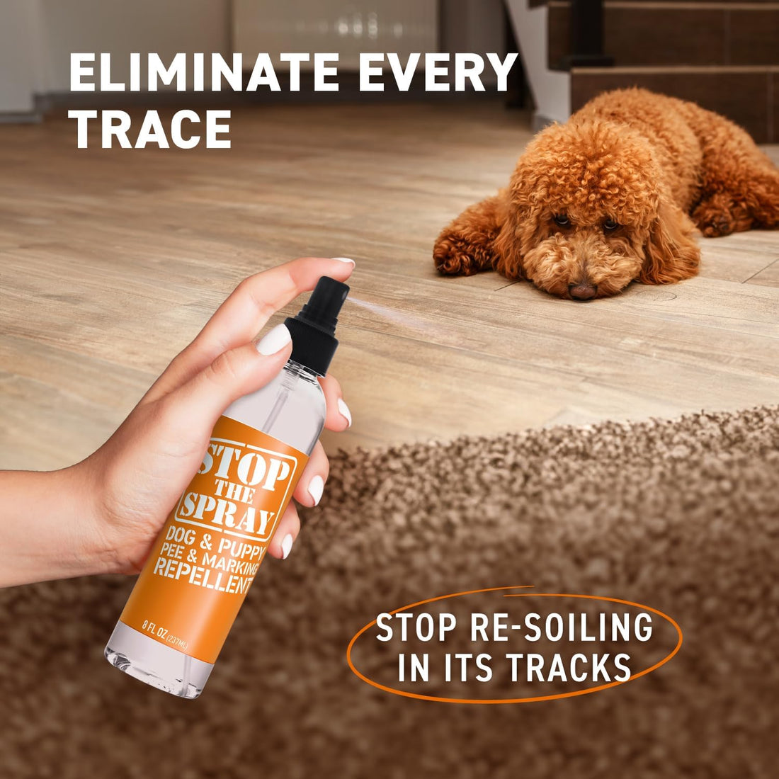 Stop the Spray Dog Marking Stopper – Pee Deterrent & Potty Training