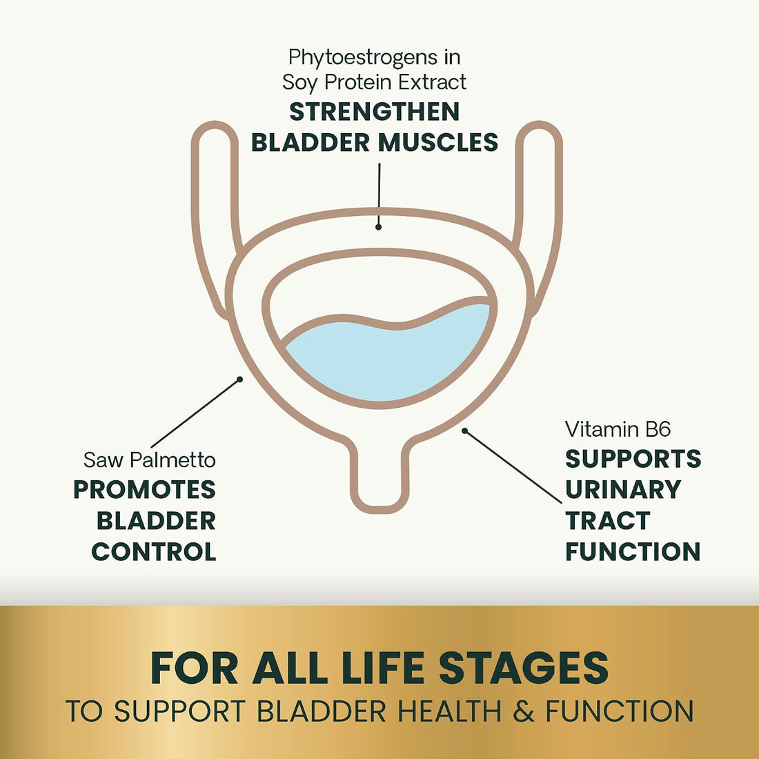 VetriScience Bladder Health for Dogs