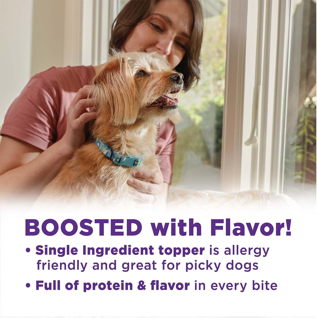Wellness Bowl Boosters Bare Freeze Dried Dog Beef Food Topper