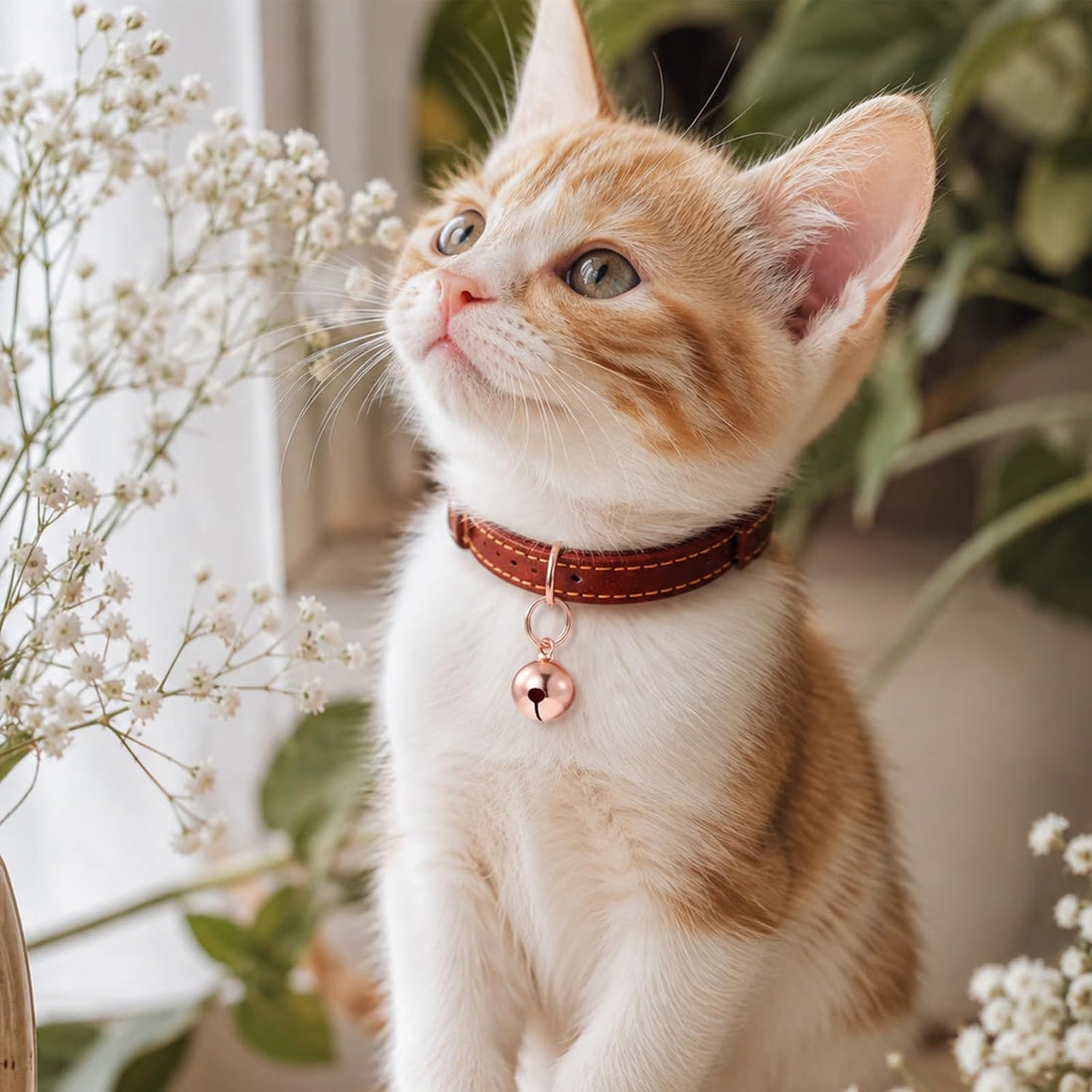 10 Pcs Loud Cat Bells Dog Collar Bell Small Bell for Dog Collar 1/2