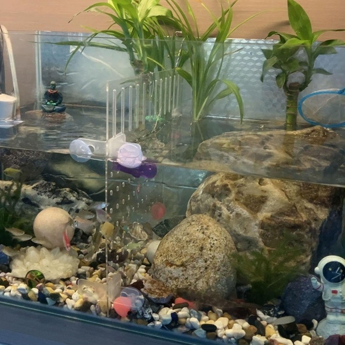 Acrylic Fish Tank Divider 11.81x9.84 inch Clear Aquarium Divider
