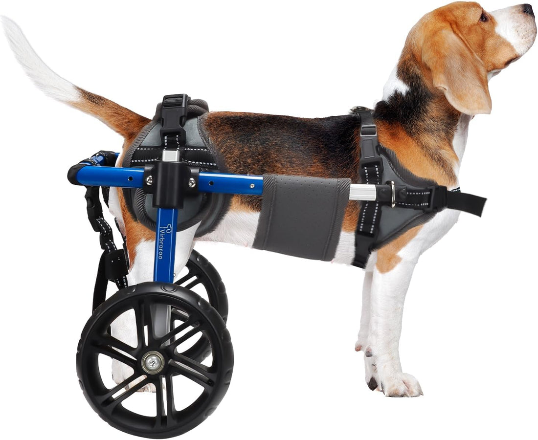 Dog Wheelchair for Back Legs with Upgraded All-Terrain Tires
