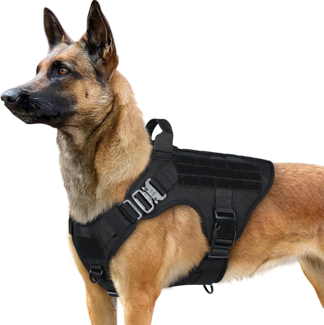 rabbitgoo Tactical Dog Harness for Large