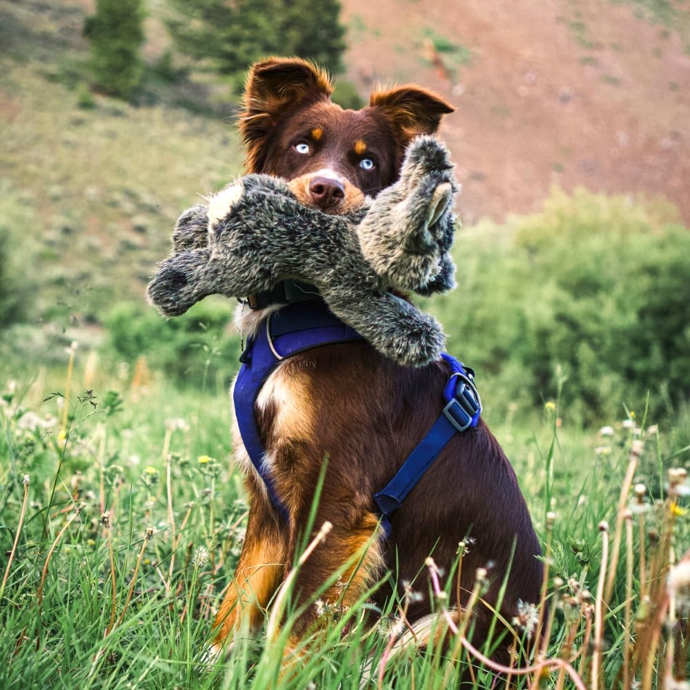 Fluff & Tuff – Walter Wabbit Plush Dog Toy