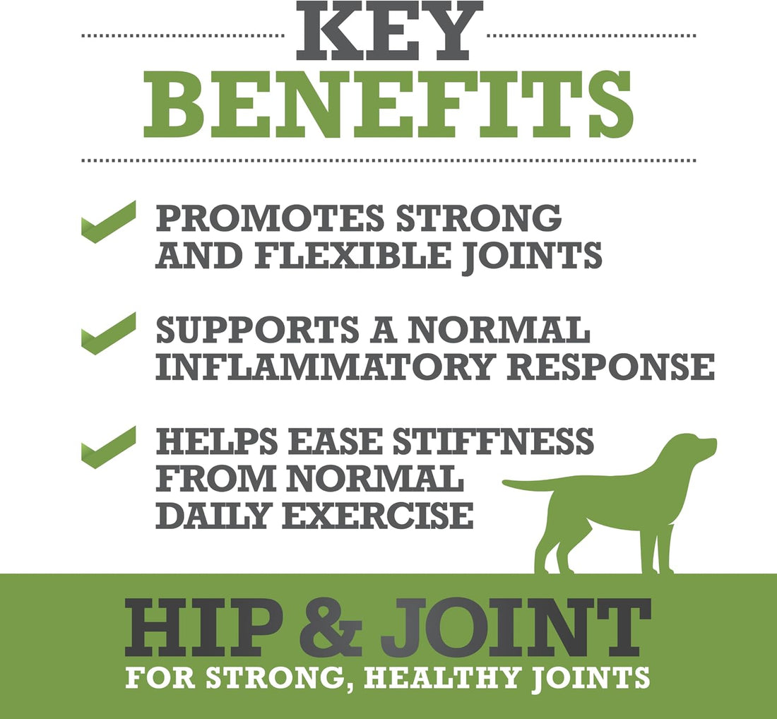 WINPRO Hip & Joint Supplement for Dogs