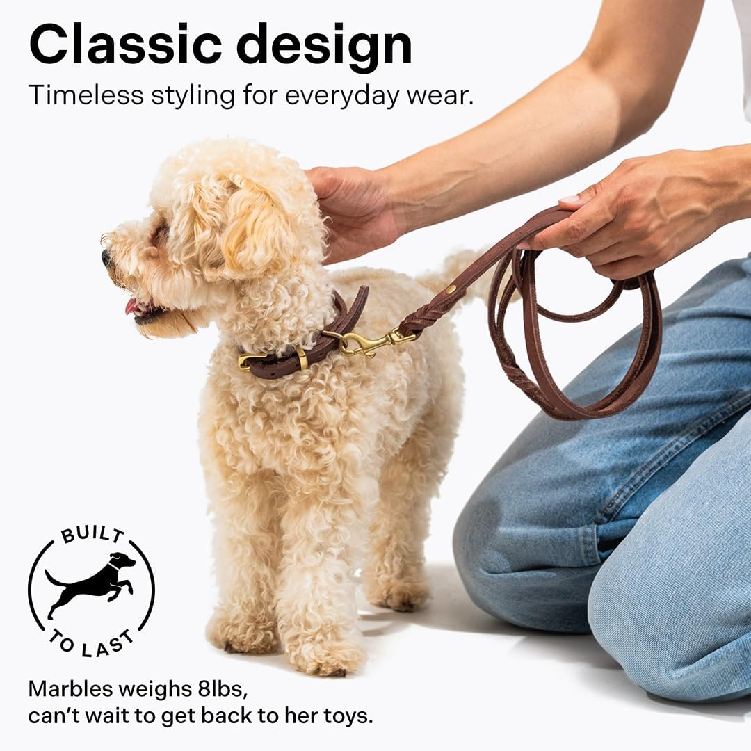 Scout Supply Classic Leather Dog Leash